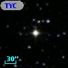 TYC  982-2185-1