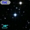 TYC  982-2307-1