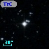 TYC  991-1644-1