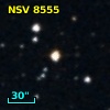 NSV  8555