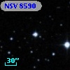 NSV  8590