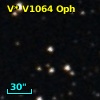 V* V1064 Oph