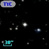 TYC  992-229-1