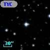 TYC  995-55-1