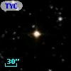 TYC  996-964-1