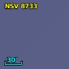 NSV  8733