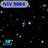 NSV  9004