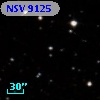 NSV  9125