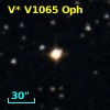 V* V1065 Oph