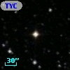 TYC  993-137-1