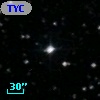 TYC  993-481-1