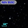 NSV  9592