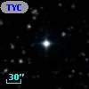 TYC  994-113-1