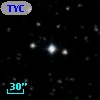 TYC  998-974-1