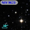 NSV  9623