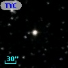 TYC  998-365-1