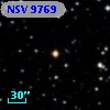 NSV  9769
