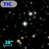 TYC 1013-245-1