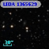 LEDA 1365629