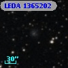 LEDA 1365202