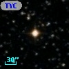 TYC 1009-1426-1