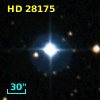 HD  28175