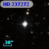 HD 237272