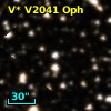 V* V2041 Oph