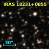 IRAS 18231+0855