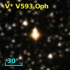 V* V593 Oph