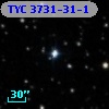 TYC 3731-31-1
