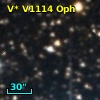 V* V1114 Oph