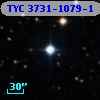 TYC 3731-1079-1