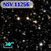 NSV 11256