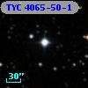 TYC 4065-50-1
