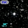 TYC 1024-2175-1