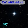 TYC 4065-85-1