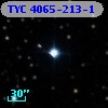 TYC 4065-213-1