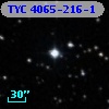 TYC 4065-216-1