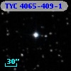 TYC 4065-409-1