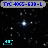 TYC 4065-630-1