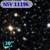 NSV 11196