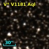 V* V1181 Aql
