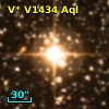 V* V1434 Aql