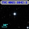 TYC 4065-1042-1