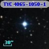 TYC 4065-1050-1