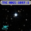 TYC 4065-1097-1