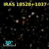 IRAS 18528+1037