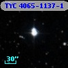 TYC 4065-1137-1