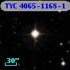 TYC 4065-1168-1